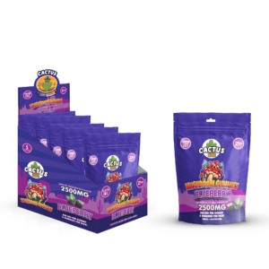 Mushroom Gummies 2500mg 500mg/Gummy 5 Gummies/Pack (5 Pouches)